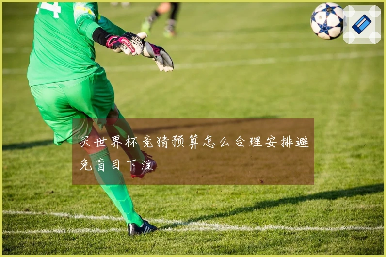 买世界杯竞猜预算怎么合理安排避免盲目下注
