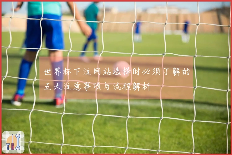 世界杯下注网站选择时必须了解的五大注意事项与流程解析