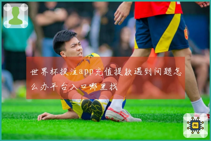 世界杯投注app充值提款遇到问题怎么办平台入口哪里找